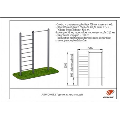 Турник с лестницей ARWOK012